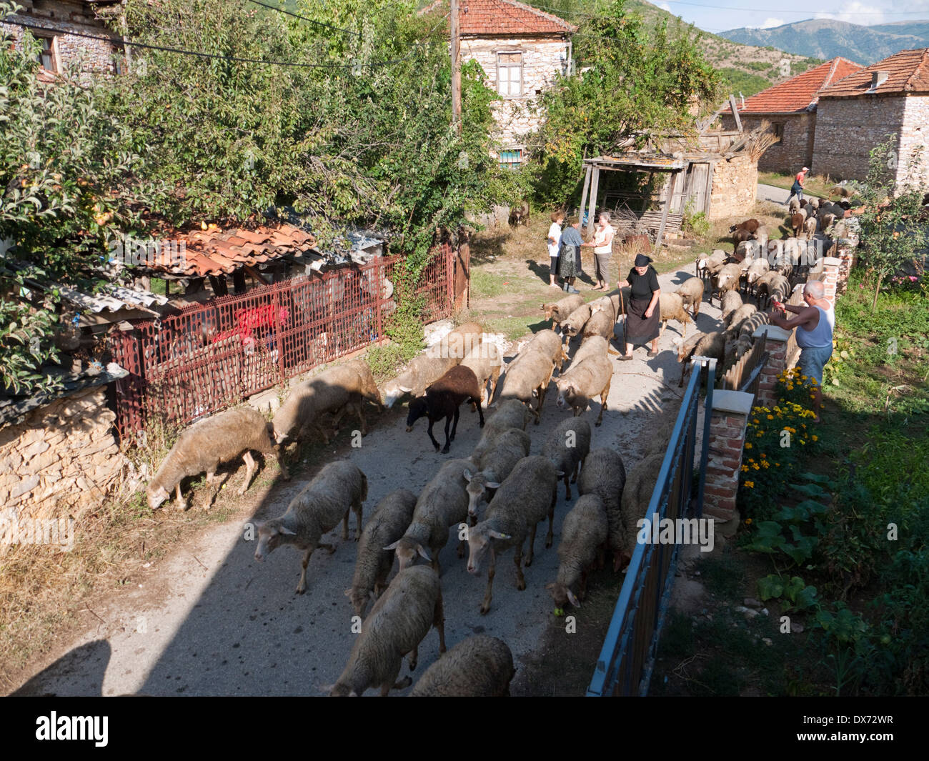 In vecchio stile di vita di villaggio in Miokazi, vicino Kicevo, Repubblica di Macedonia Foto Stock