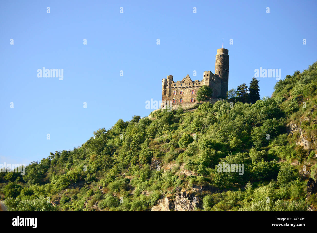 Il castello di Maus Valle del Reno Germania Europa vigneti Cantine de crociera Foto Stock