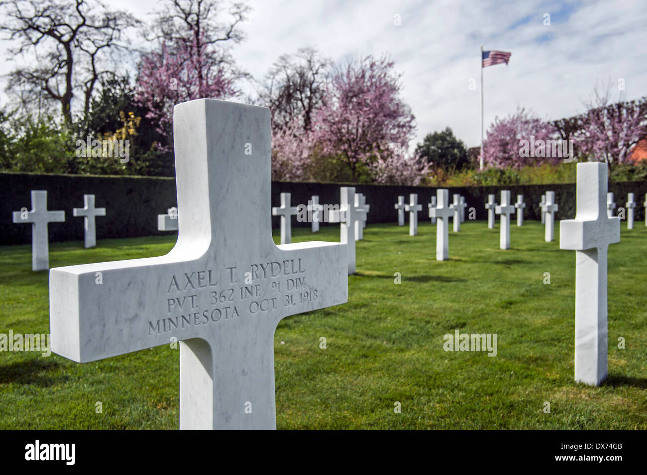 Attraversa In Flanders Field Cimitero e memoriale americano a Waregem, solo la prima guerra mondiale uno di noi cimitero militare in Belgio Foto Stock