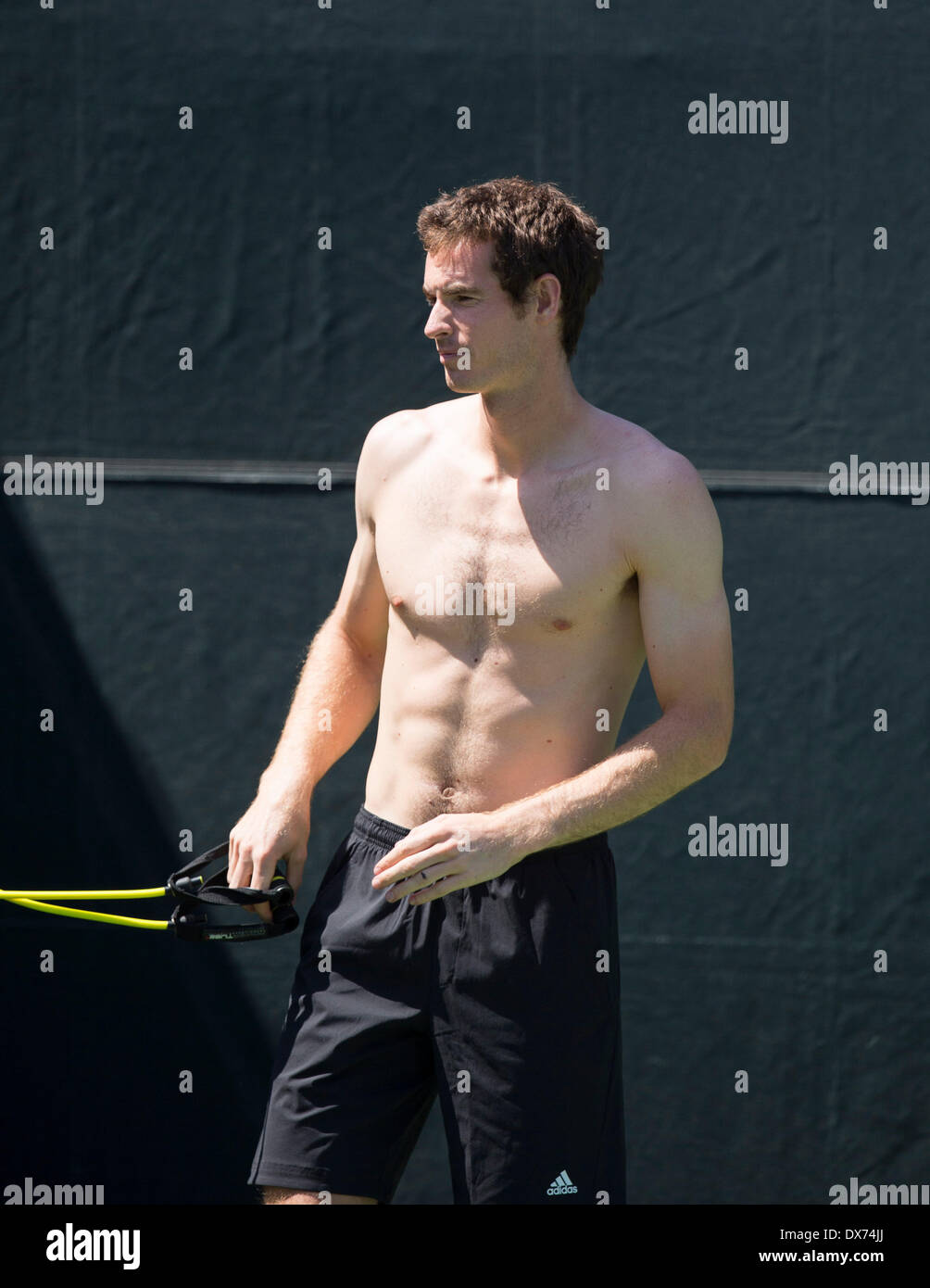 Key Biscayne, Miami, Florida, Stati Uniti d'America. Xix marzo, 2014. Crandon Park Tennis Center, Key Biscane, Miami, Florida, Stati Uniti d'America. Xix Marzo 2014. ANDY MURRAY di Gran Bretagna delle pratiche di Crandon Park Tennis Center, Key Biscane, Miami, Florida al Sony Open Tennis Tournament. Mercoledì 19 marzo 2014. Credito: AMN IMMAGINI/ Alamy Live News Foto Stock