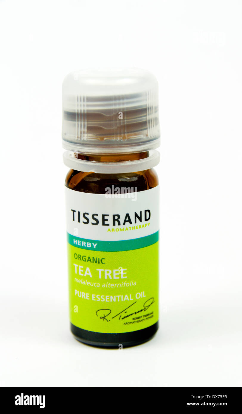 Tea Tree olio essenziale bottiglia. Foto Stock
