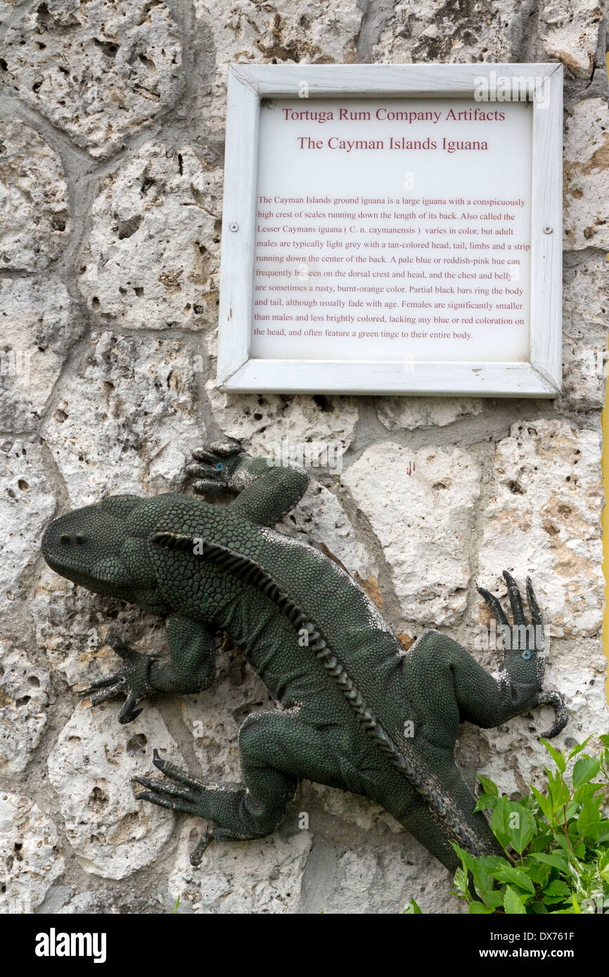 Tortuga Rum società segno informazioni circa il nativo di iguana Foto Stock