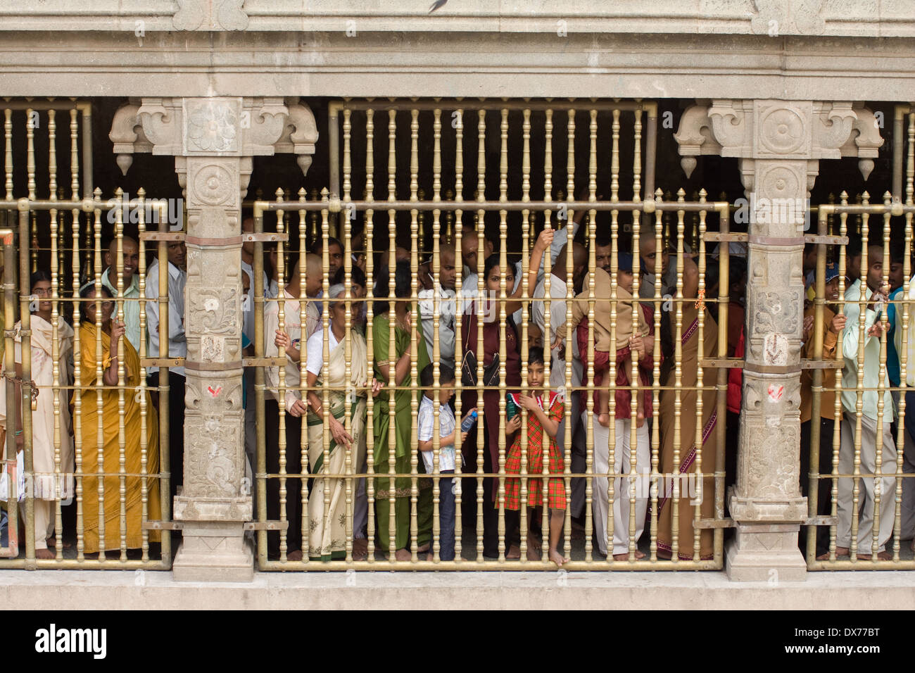 Tirumala Venkateswara Temple, Tirumala, Tirupati, Chittoor District, Andhra Pradesh, i pellegrini in attesa di entrata nel tempio Foto Stock