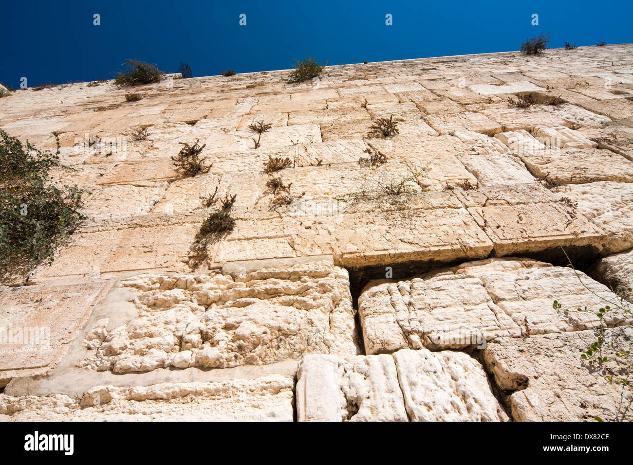 Il Muro Occidentale di Gerusalemme, Israele Foto Stock