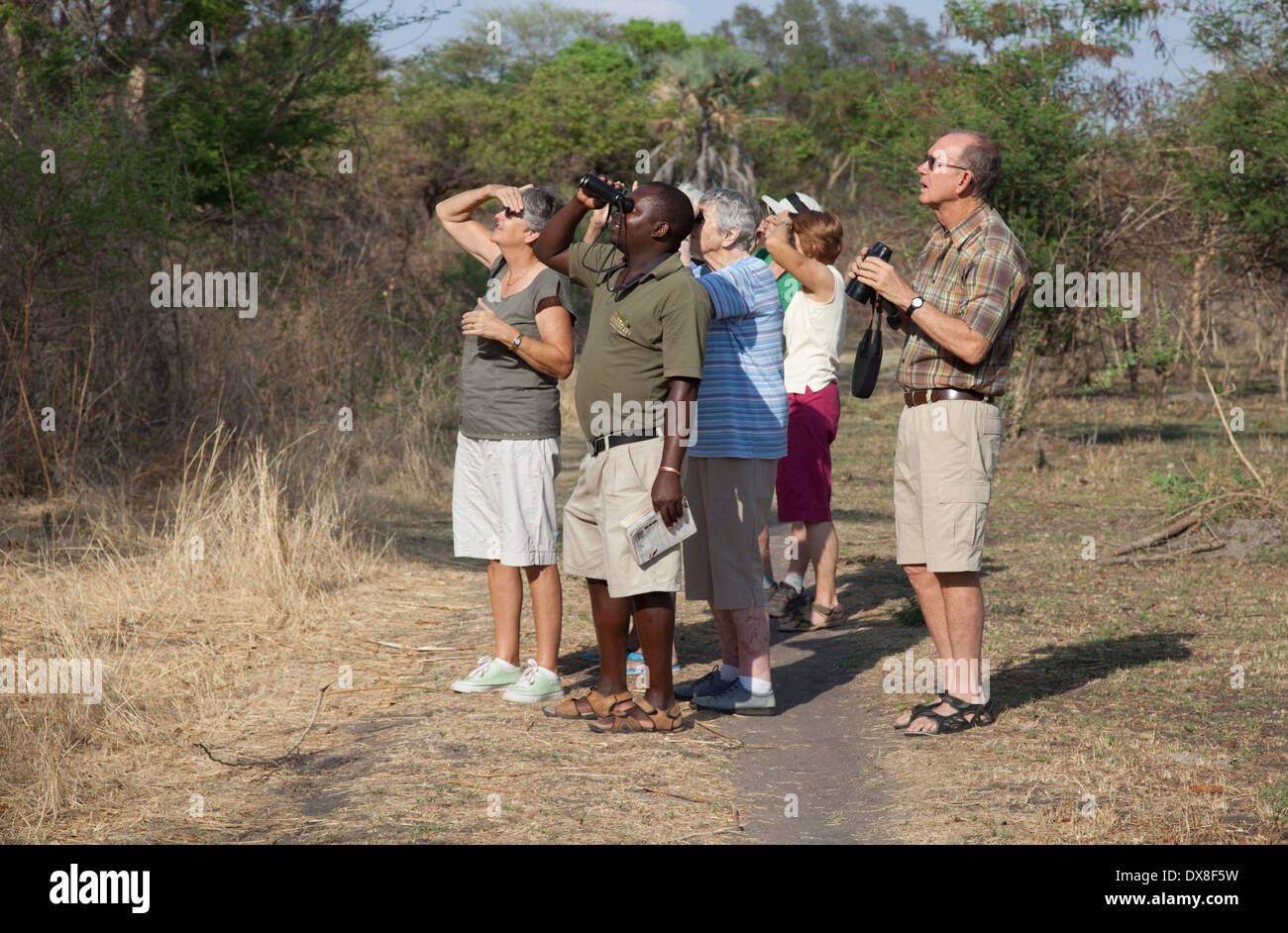 Gruppo turistico birdwatching a piedi Zambesi Valley vicino a Livingstone Zambia Foto Stock