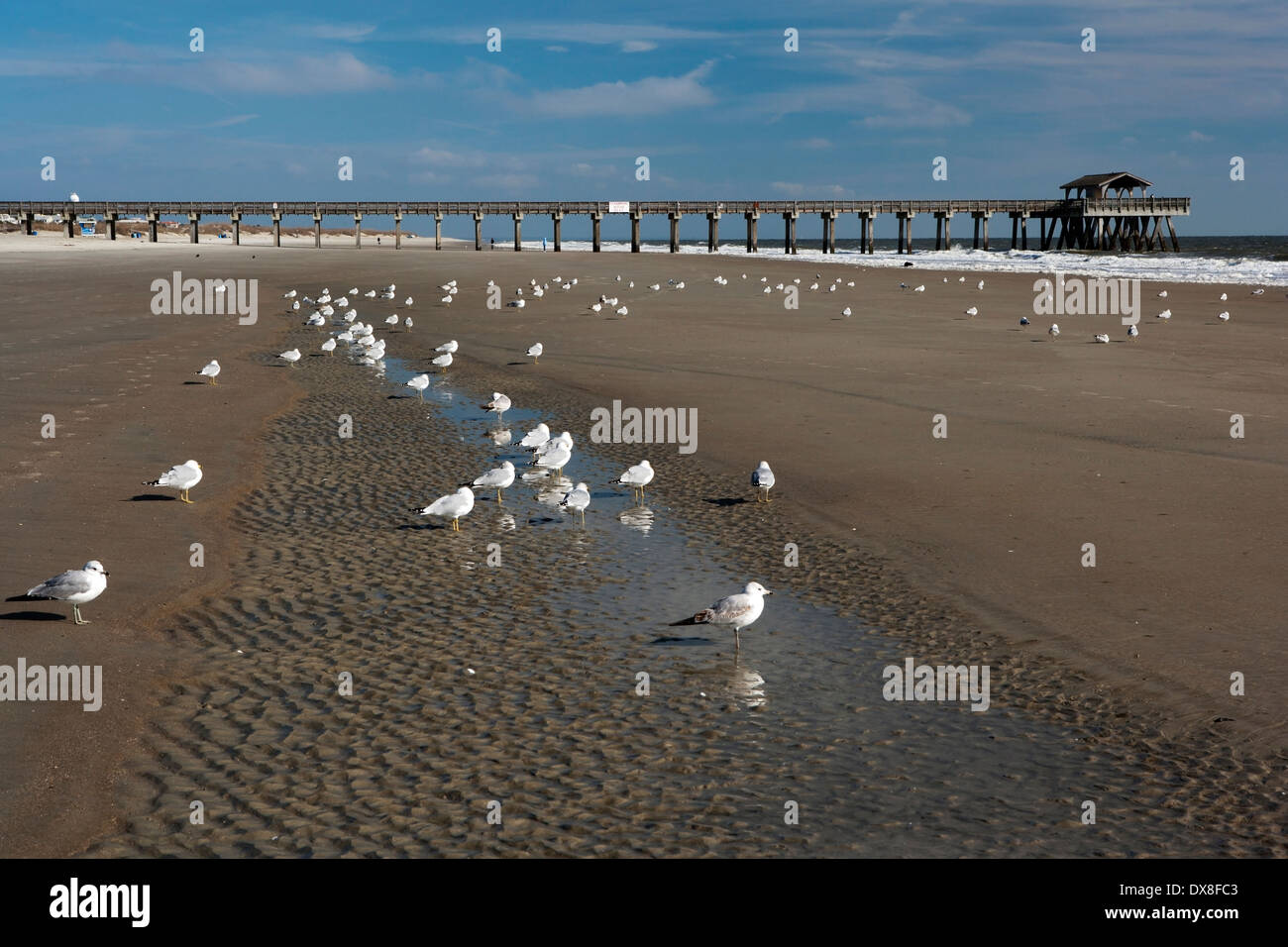 Tybee Island Beach e Pier - Tybee Island, Georgia Foto Stock