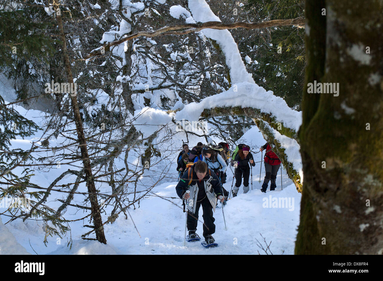 Ascensione di escursionisti con racchette da neve Foto Stock