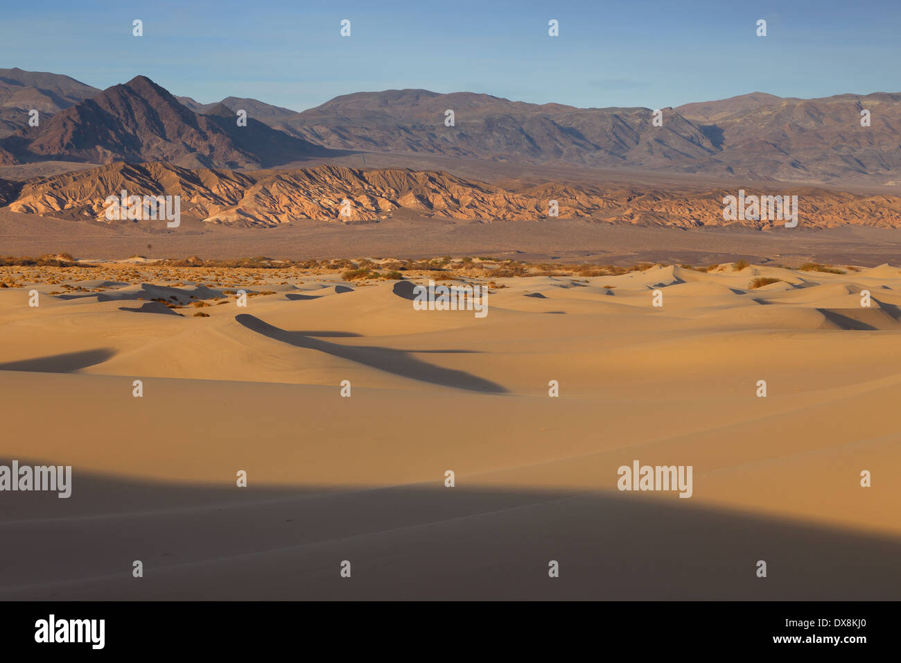 Le dune di sabbia del deserto del sud ovest degli Stati Uniti nella Death Valley in California Foto Stock