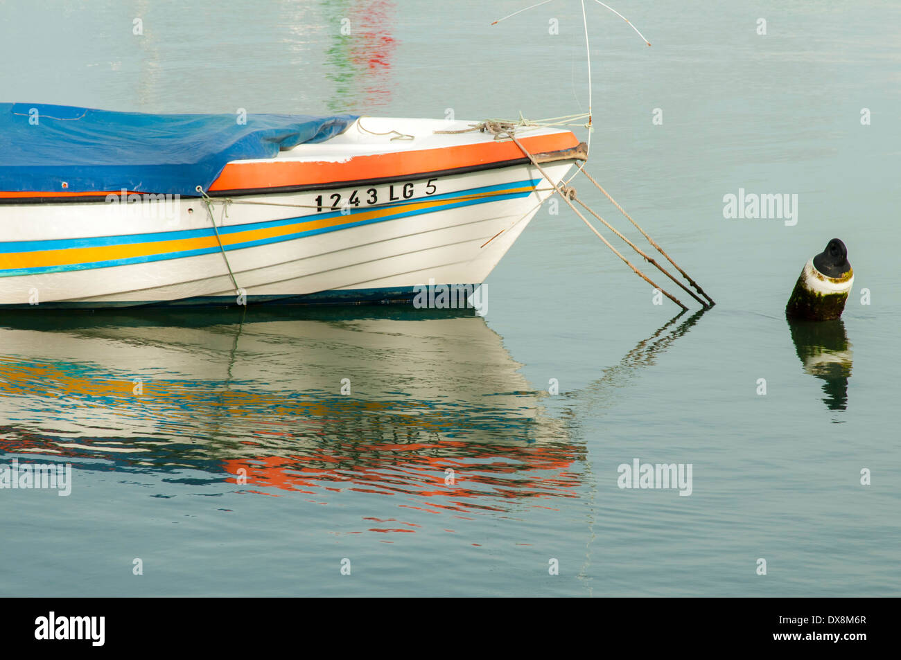 Close up di un portoghese la pesca in barca Foto Stock