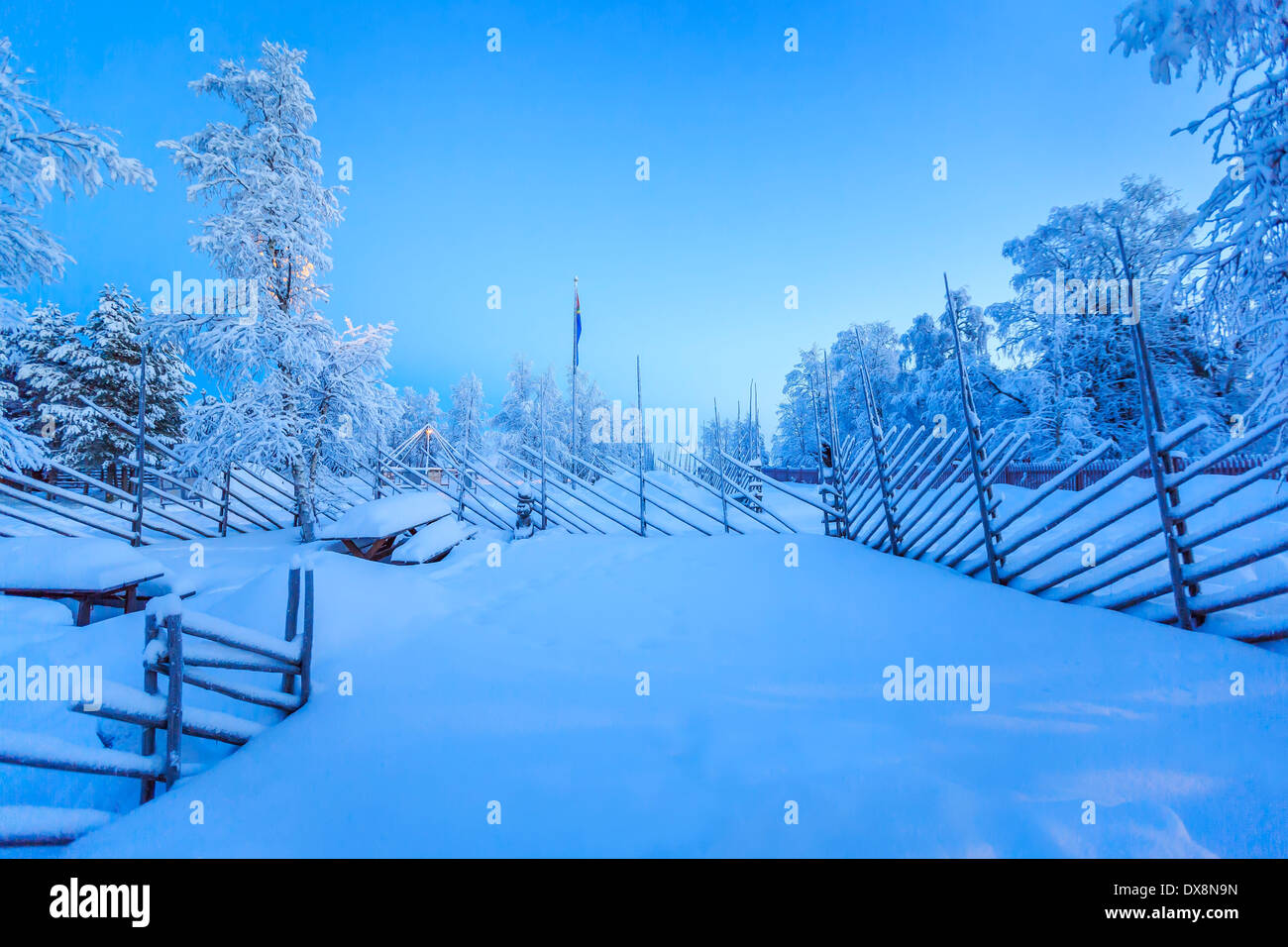 Coperta di neve alberi a temperature estremamente basse, Lapponia, Svezia Foto Stock