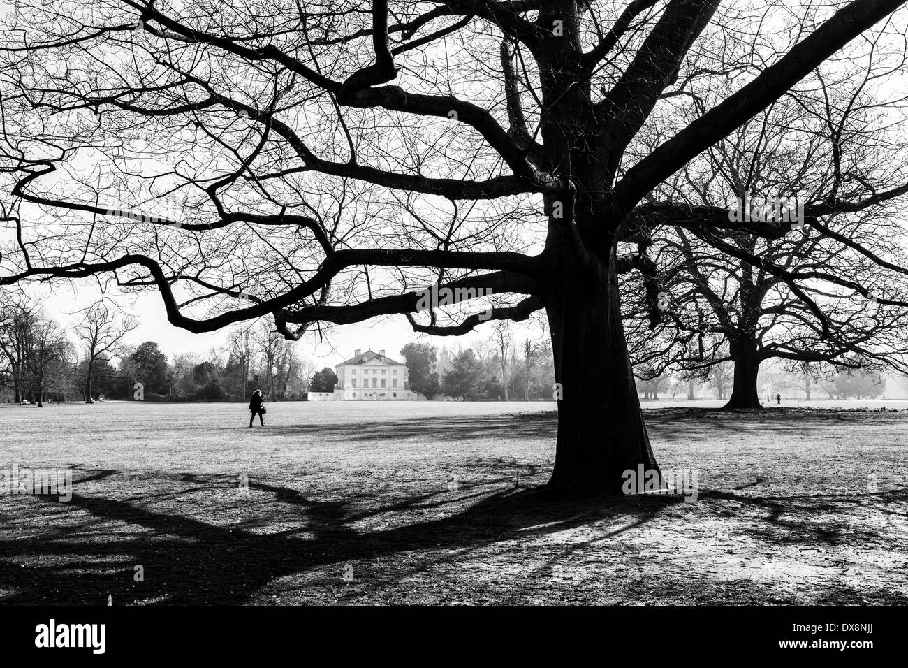 Donna passeggiate nel parco di Marble Hill House - storico Royal home di maestra delle King George ll - Twickenham, London, Regno Unito Foto Stock