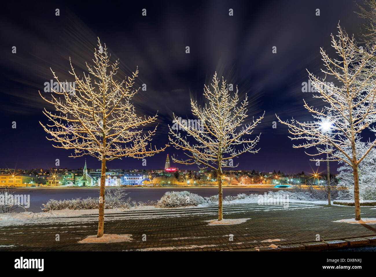 Coperta di neve alberi, Reykjavik, Islanda Foto Stock
