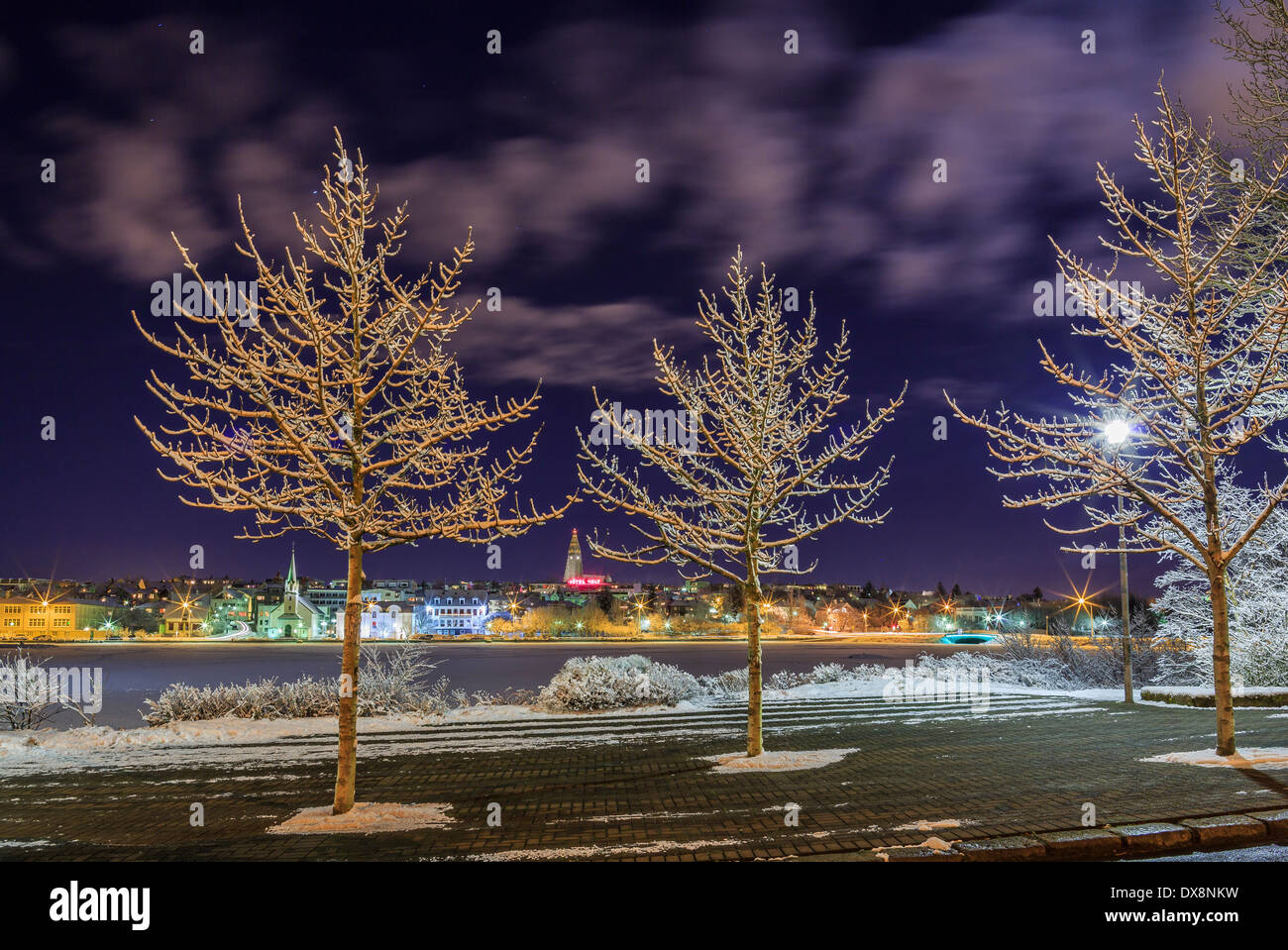 Coperta di neve alberi, Reykjavik, Islanda Foto Stock