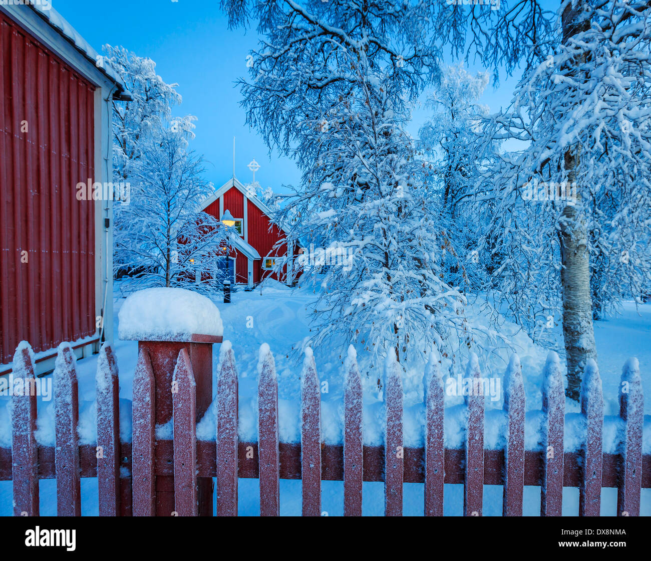 Recinzione e coperta di neve alberi a temperature estremamente basse, Lapponia, Svezia Foto Stock