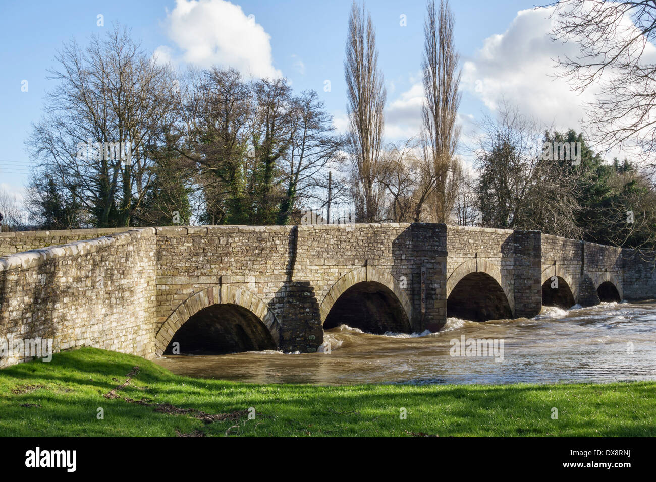 Il ponte medievale attraverso il fiume allagata teme a Leintwardine, Herefordshire, Regno Unito Foto Stock