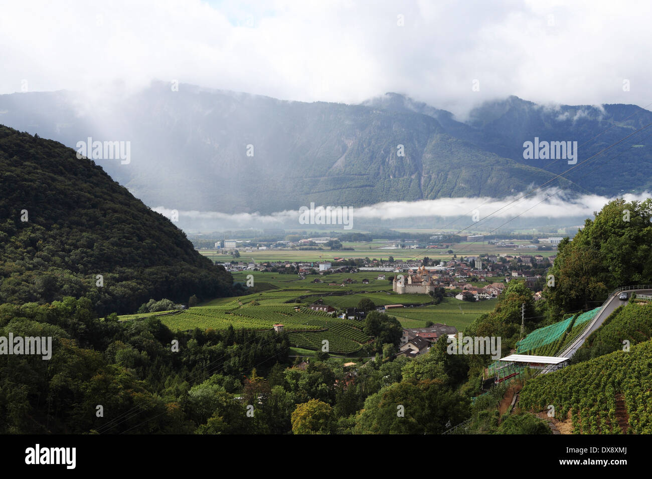 Vigneti della Valle del Rodano vicino a Villars-sur-Ollon, Svizzera. Foto Stock