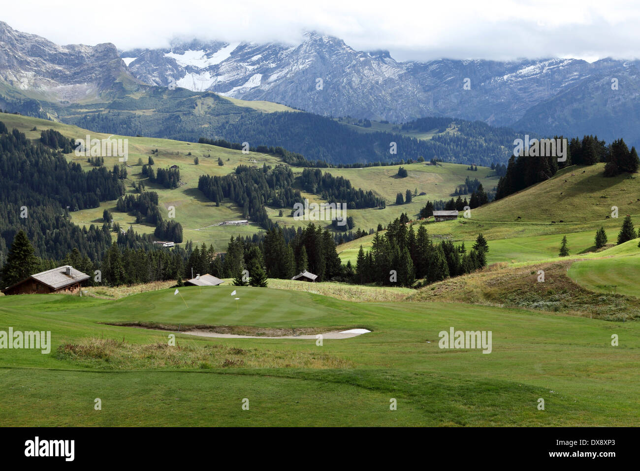 Un verde sul campo da golf di 18 buche a Villars, Svizzera. Foto Stock