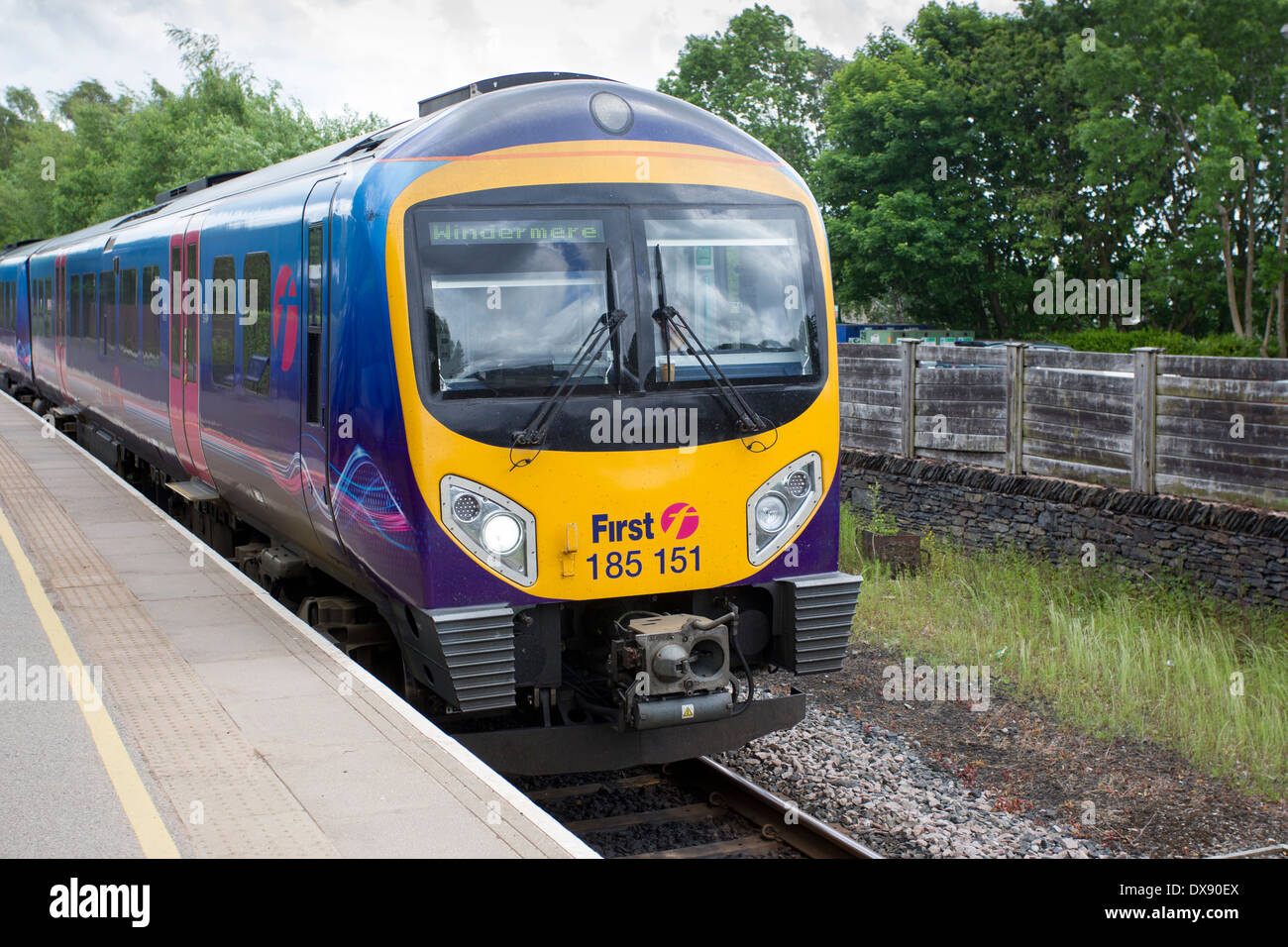 Primo transpennine express treno a Windermere stazione ferroviaria Foto Stock