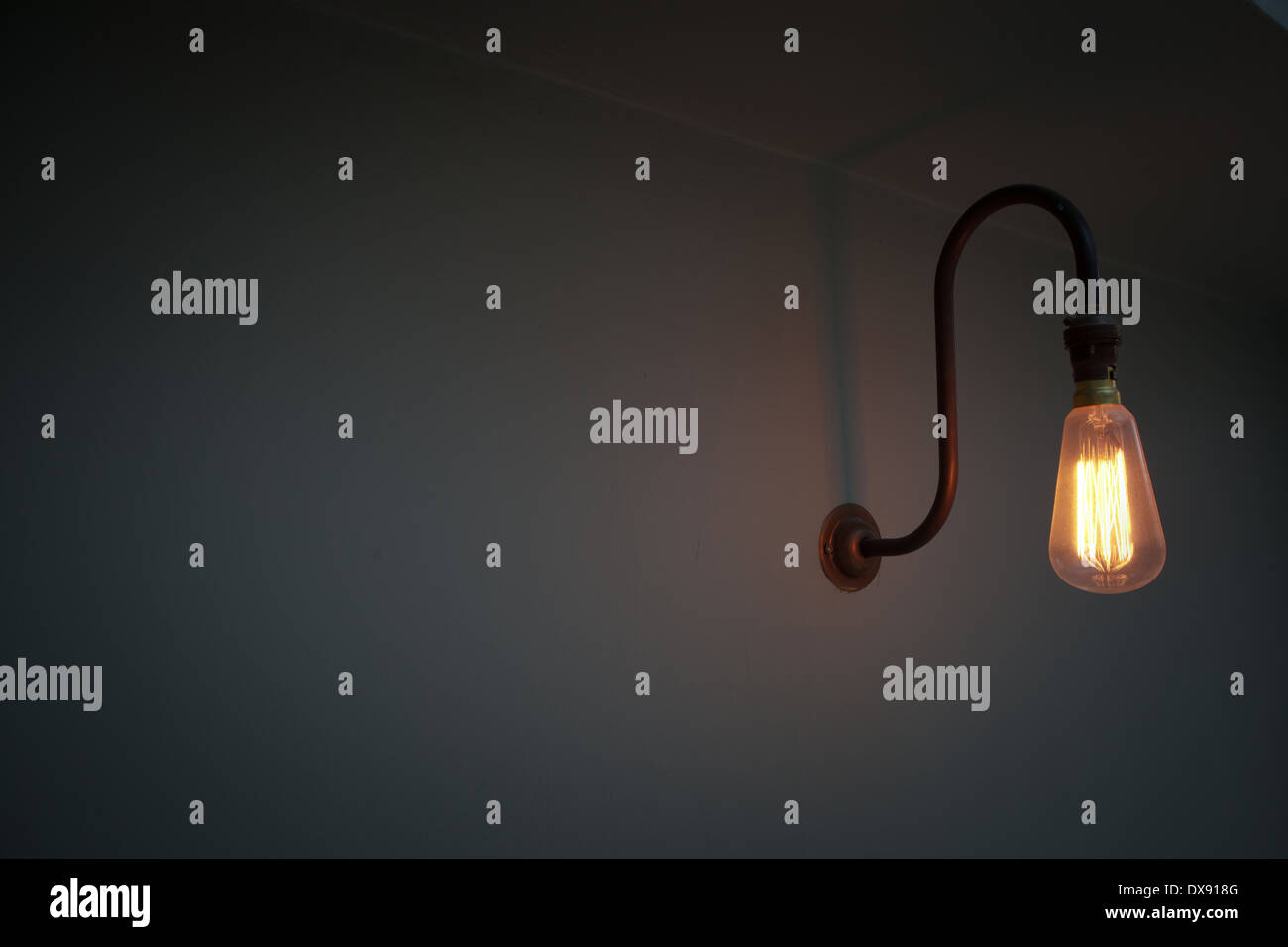 Il filamento della lampadina luce su un collo di cigno raccordo luce Foto Stock