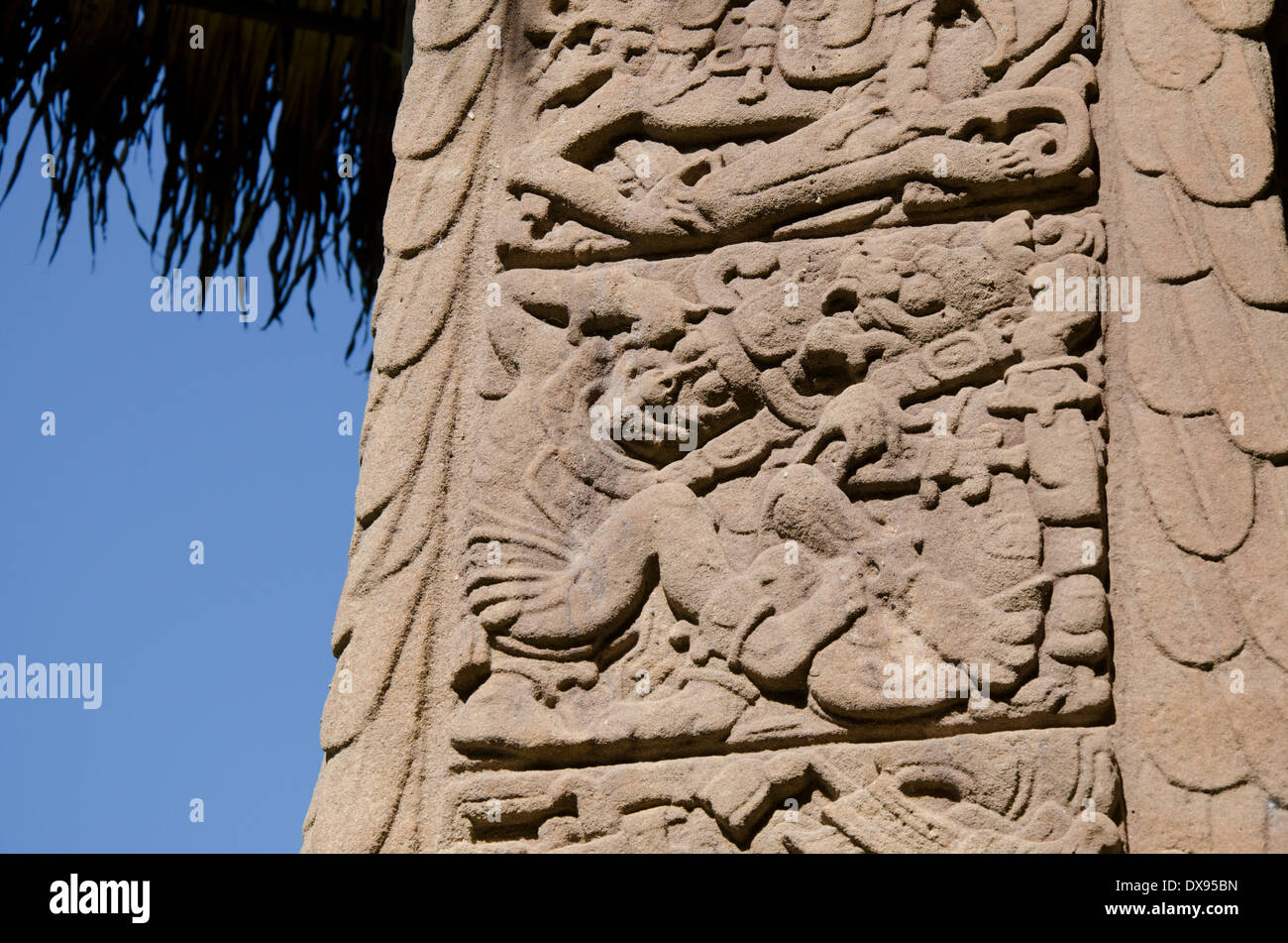 Guatemala, Dipartimento di Izabal, Quirigua Parco Nazionale. Maya sito archeologico, periodo classico (ANNUNCIO 200-900). Stele dettaglio. Foto Stock