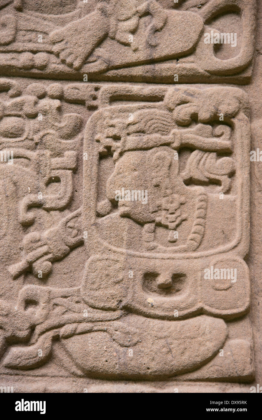 Guatemala, Dipartimento di Izabal, Quirigua Parco Nazionale. Maya sito archeologico, periodo classico (ANNUNCIO 200-900). Stele dettaglio. Foto Stock