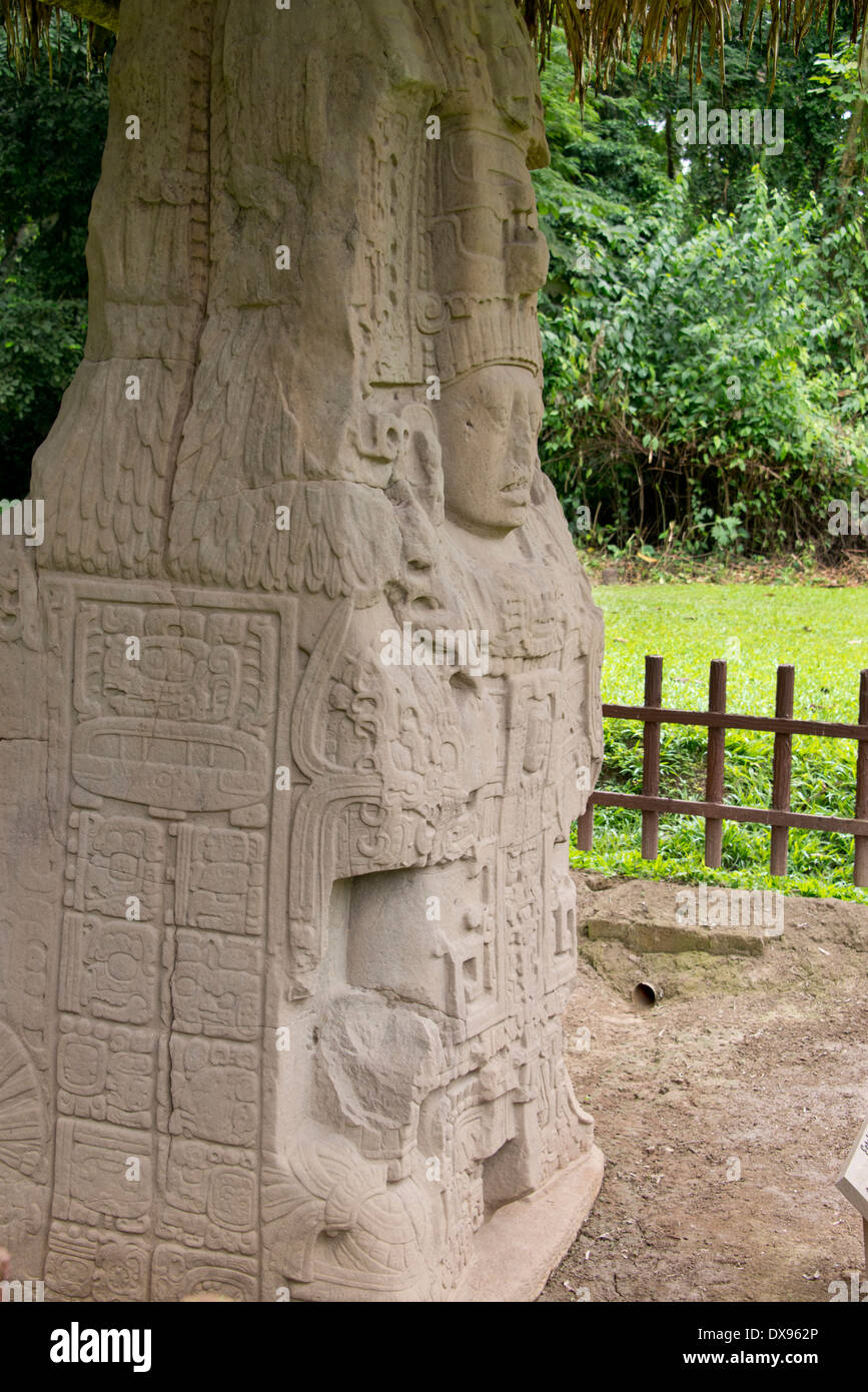 Guatemala, Dipartimento di Izabal, Quirigua Parco Nazionale. Maya sito archeologico, periodo classico (ANNUNCIO 200-900). Foto Stock