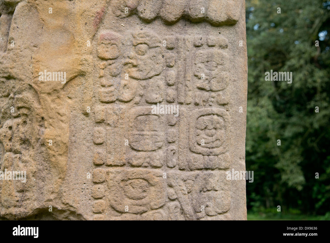 Guatemala, Dipartimento di Izabal, Quirigua Parco Nazionale. Maya sito archeologico, periodo classico (ANNUNCIO 200-900). Foto Stock