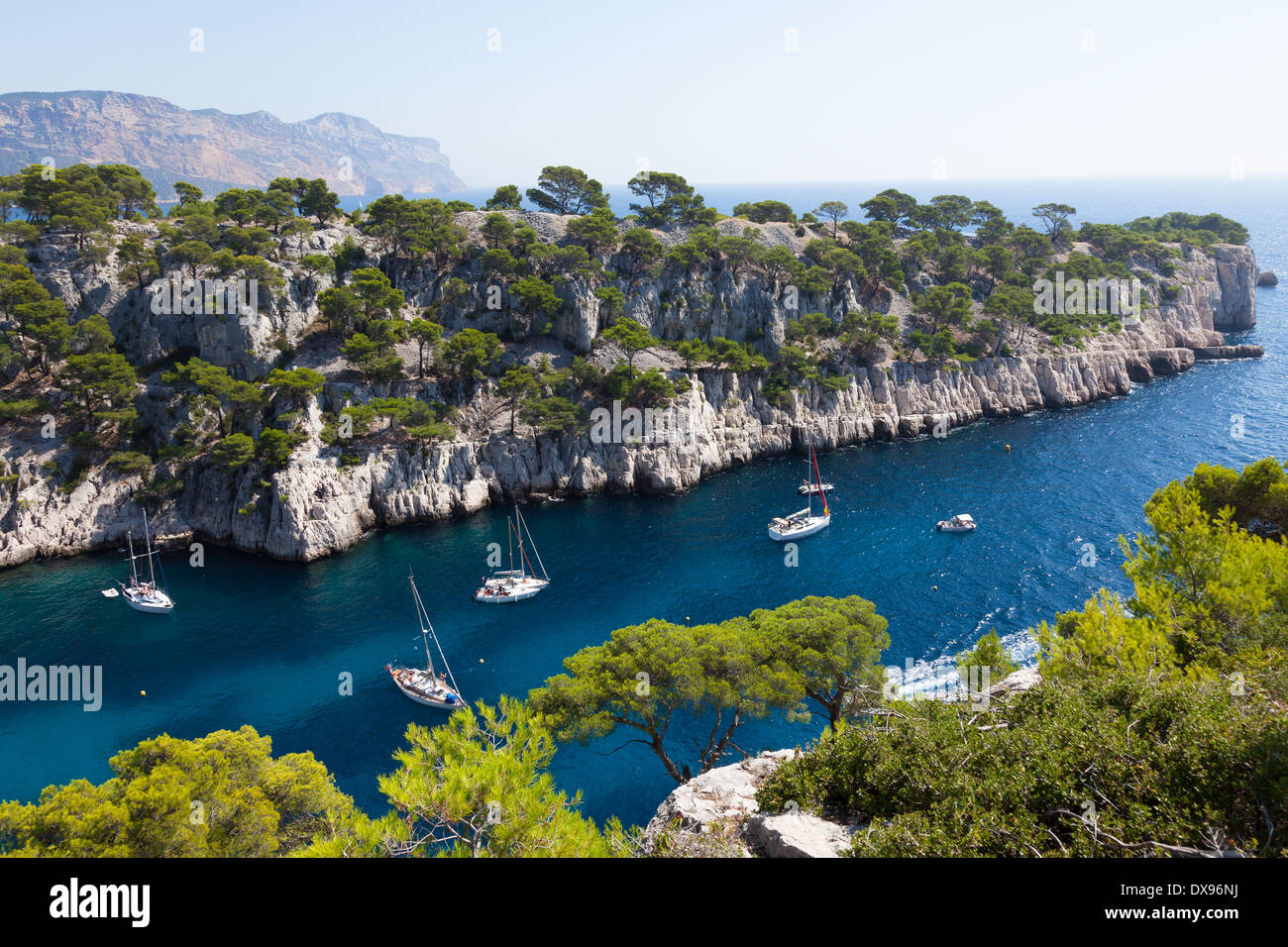 Calanques di Port pin in Cassis in Francia Foto Stock