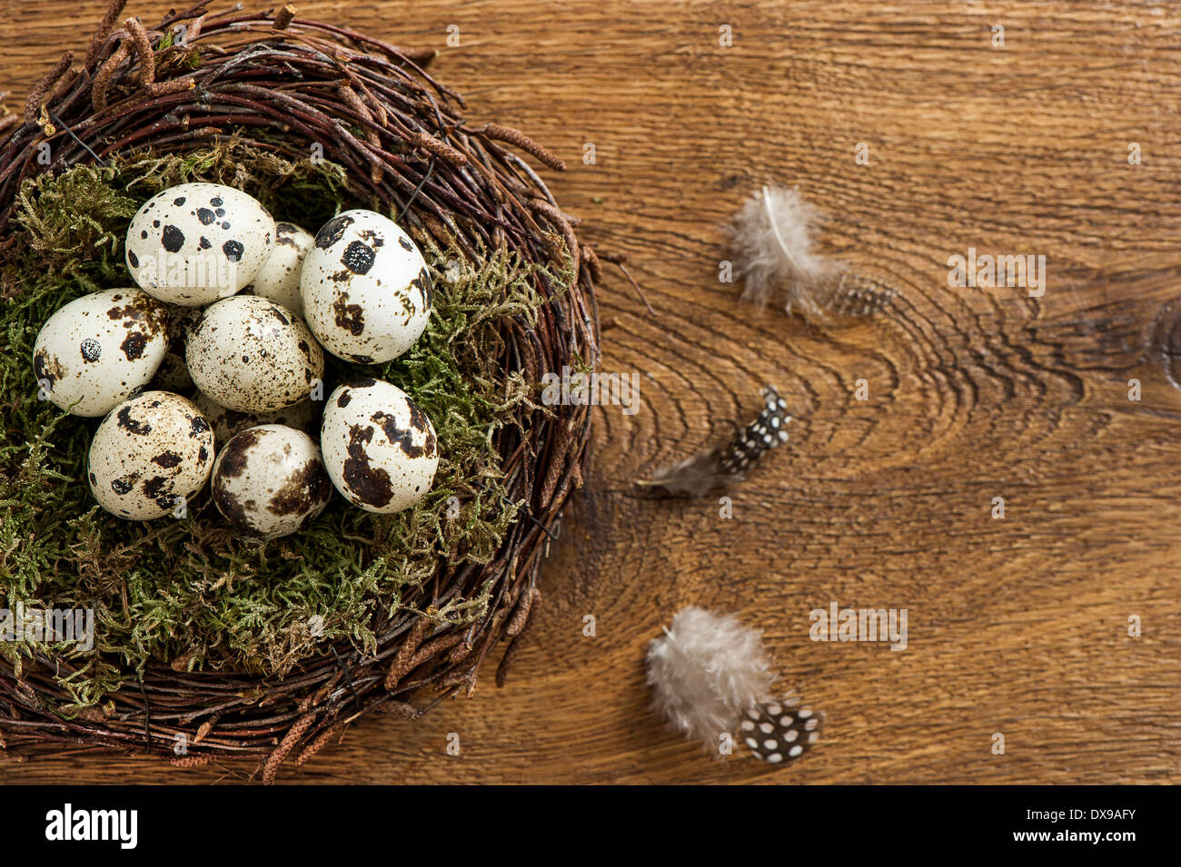 Uova di volatili nel nido in legno rustico sfondo Foto Stock