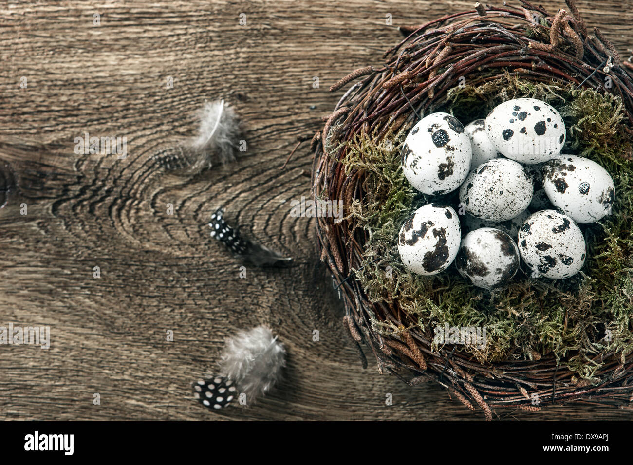 Uova di volatili nel nido su rustico sfondo di legno Foto Stock
