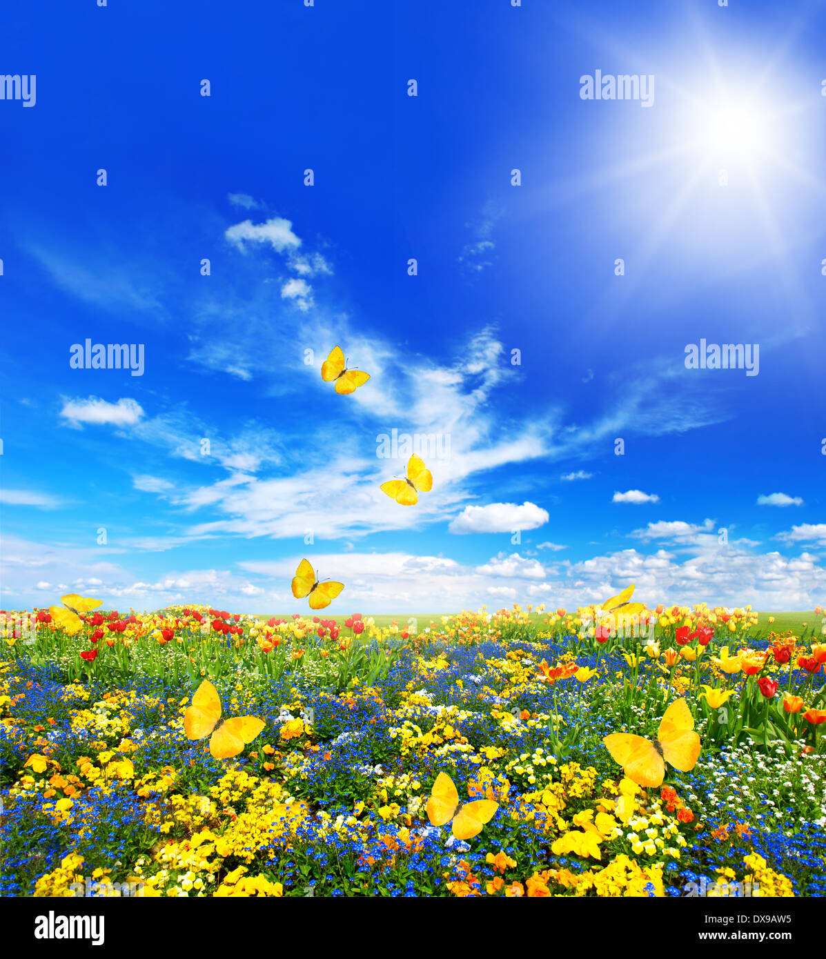 Prato con fiori assortiti in erba verde primavera paesaggio con farfalle di sole e cielo blu Foto Stock