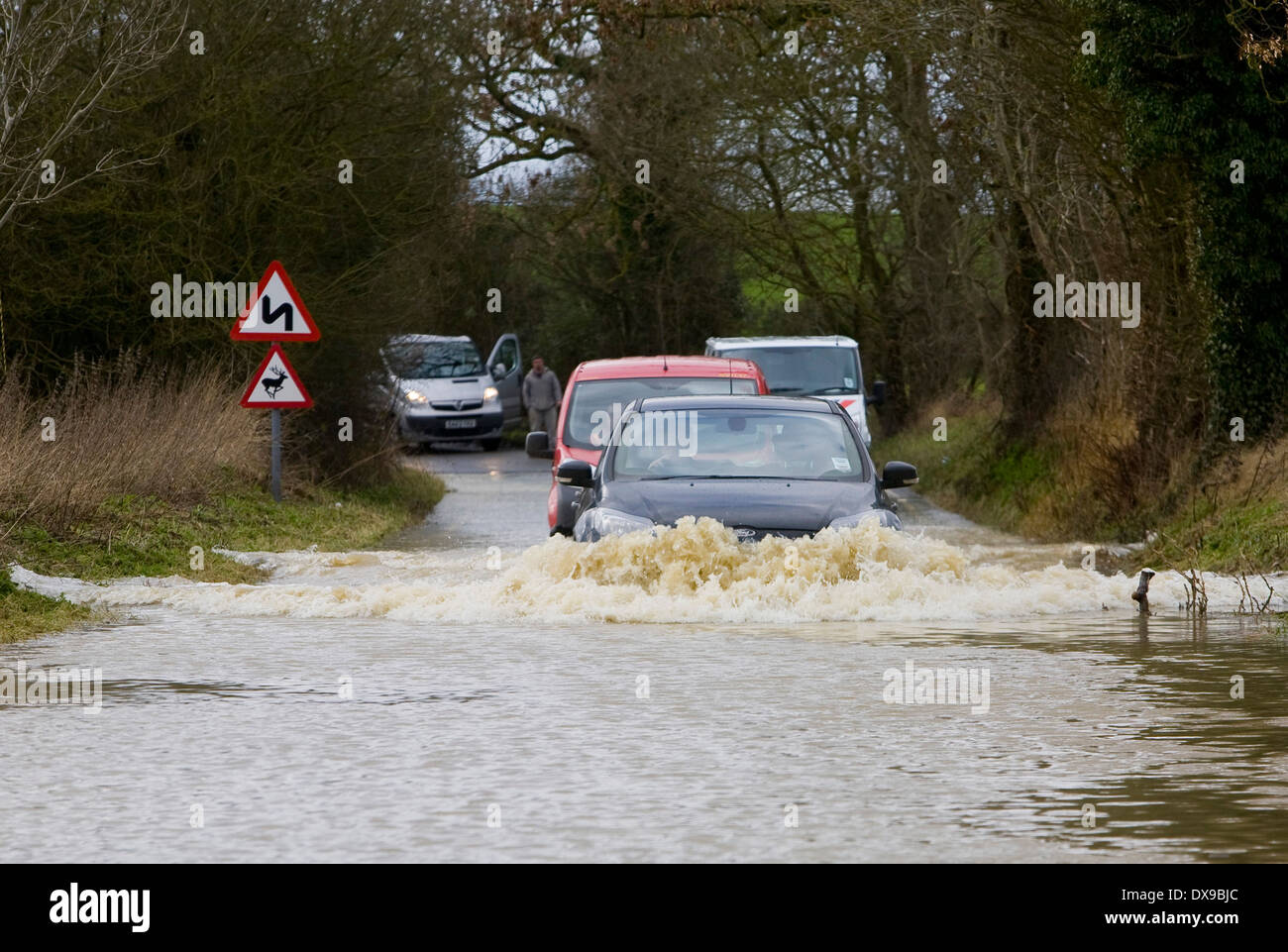 Vetture lotta attraverso le inondazioni di acqua in Steeple Bumpstead Essex oggi dopo dopo la pioggia caduta nella notte 07/02/2014 Pic George Impey Foto Stock