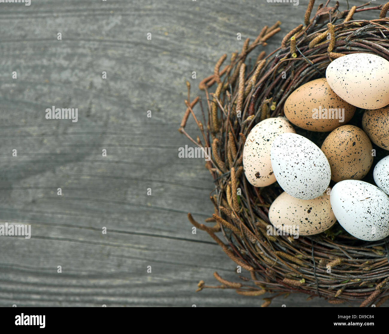 Uova di volatili nel nido in legno rustico sfondo Foto Stock