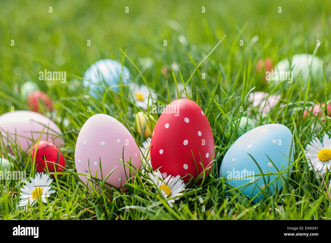 Colore diverso uovo di Pasqua su un'erba Foto Stock