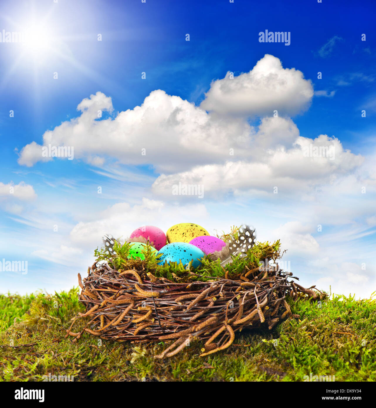 Nido di pasqua con uova colorate e uccelli giù su erba verde. bella e soleggiata cielo blu Foto Stock