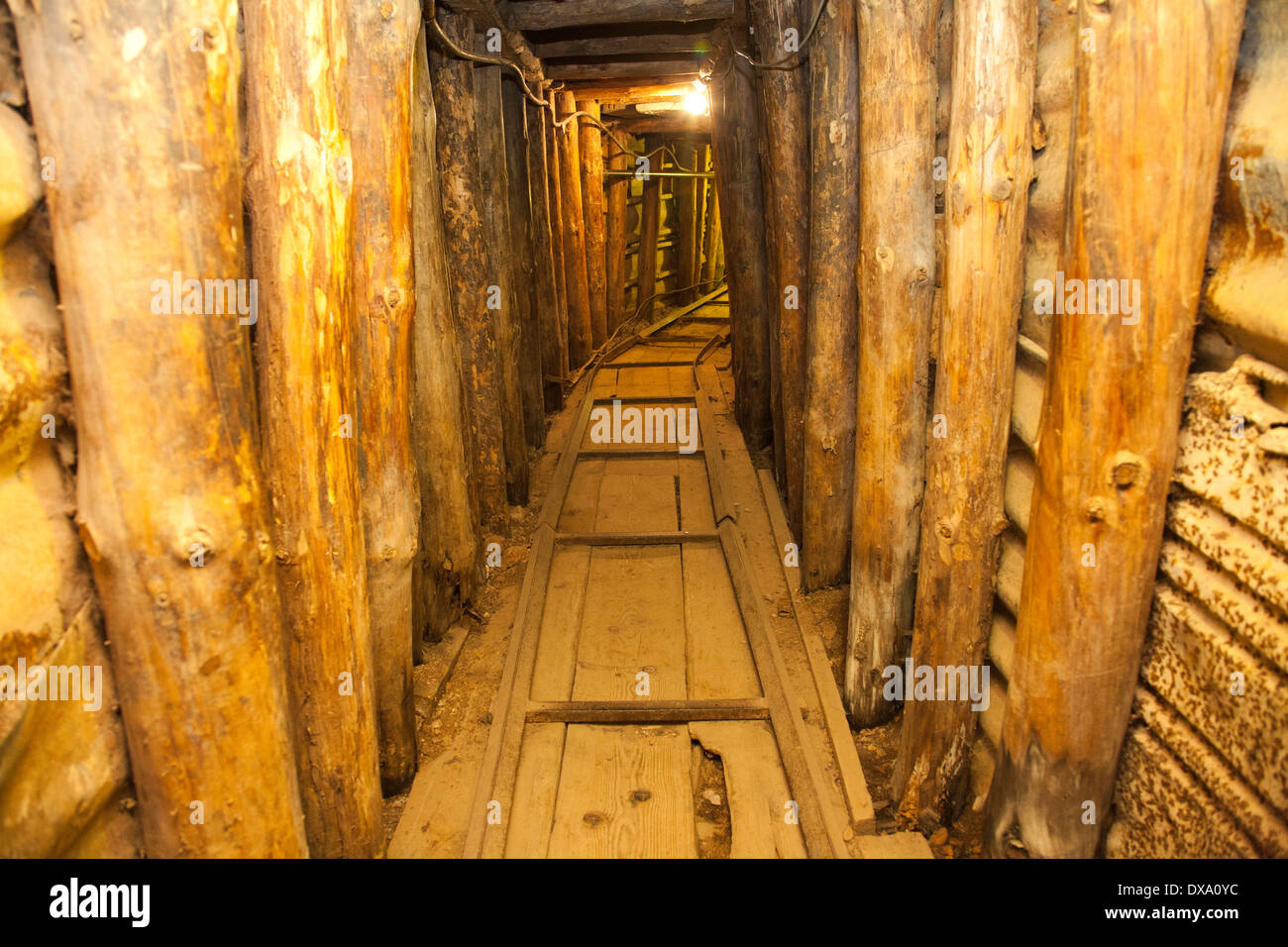 Rotaia montata, il tunnel, Sarajevo, Bosnia ed Erzegovina, europa Foto Stock
