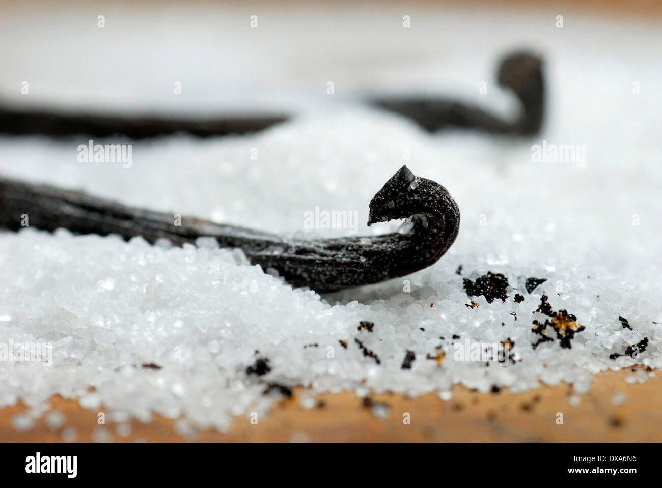 Baccelli di vaniglia nel settore dello zucchero Foto Stock