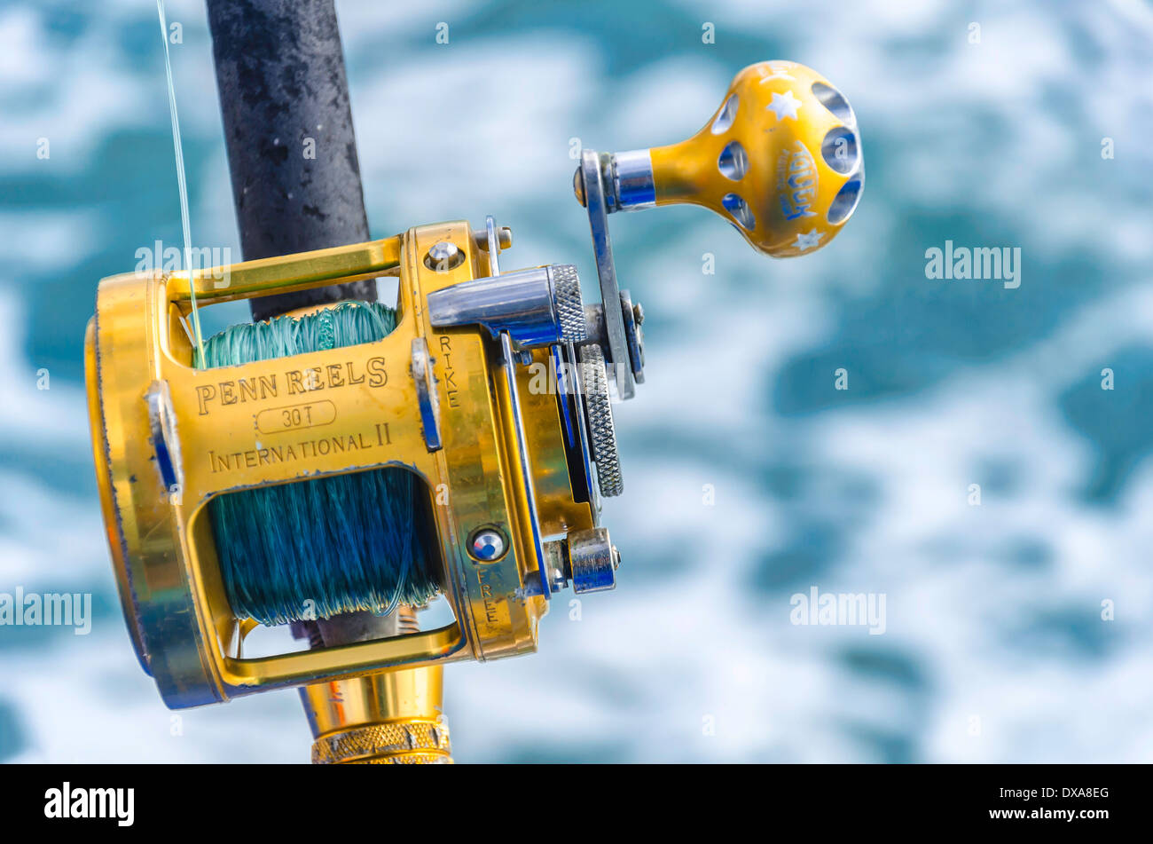 Close up del mare profondo bobina Foto Stock