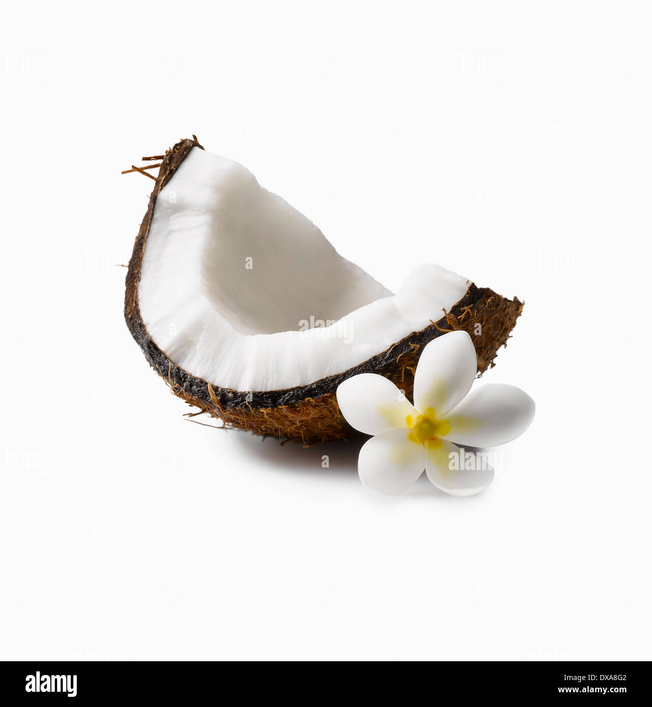 Il cocco Cocos nucifera segmento con shell e un Giardino Yue' Tahitiano o fiore di Tiarè Gardenia tiatensis insieme questi sono i Foto Stock