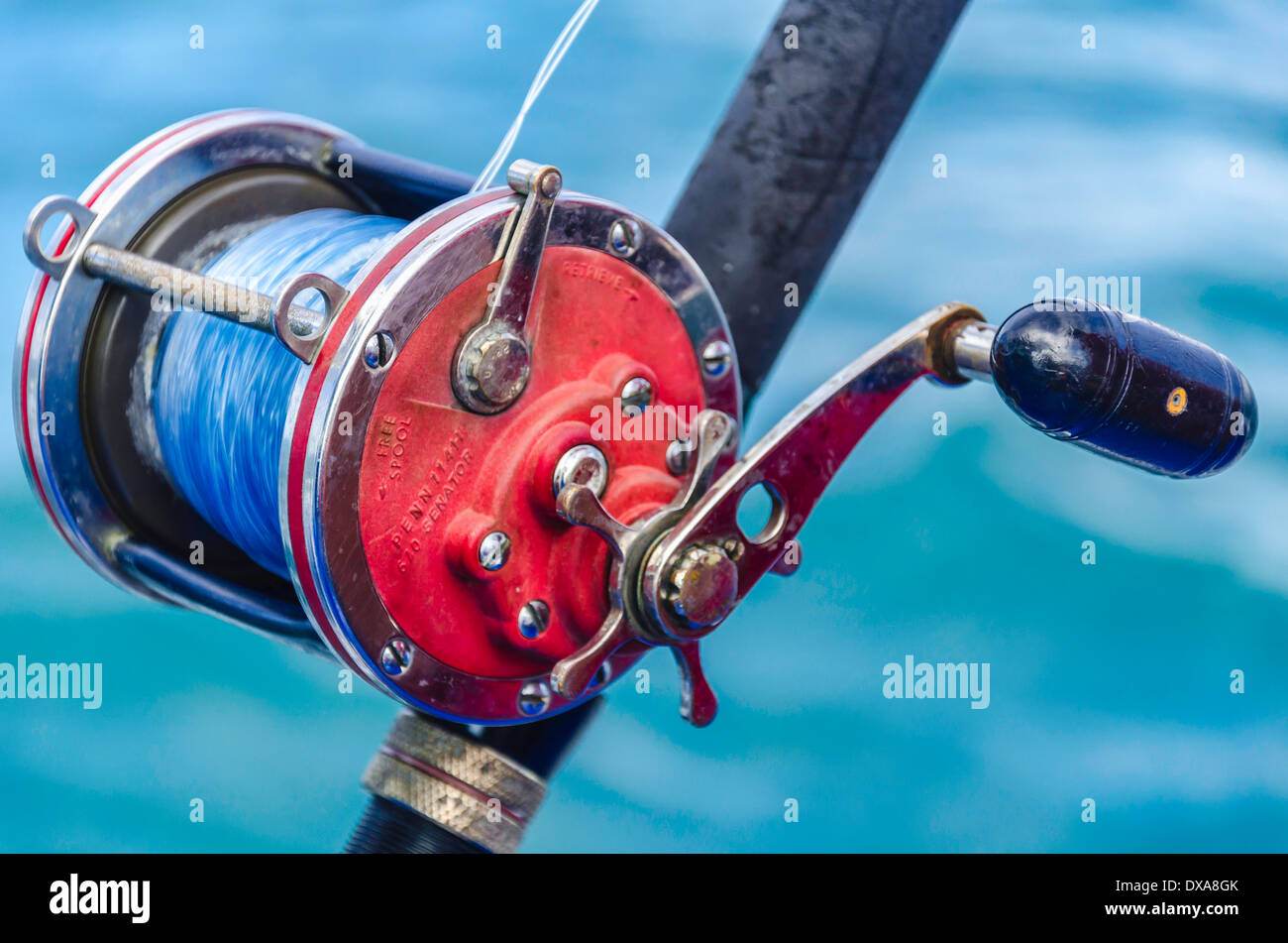 Close up del mare profondo bobina Foto Stock