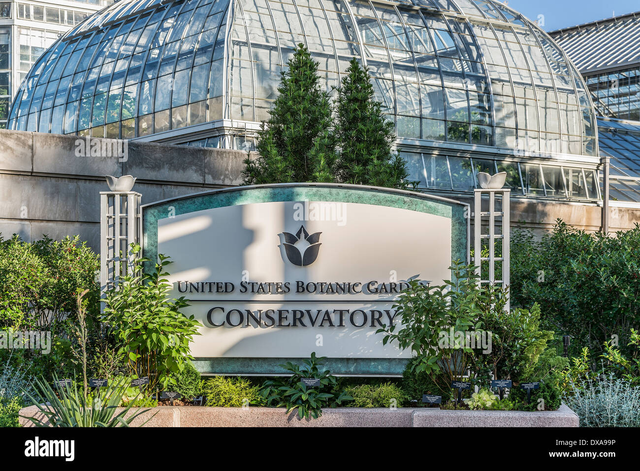 Stati Uniti Giardino Botanico Conservatorio, Washington DC, Stati Uniti d'America Foto Stock