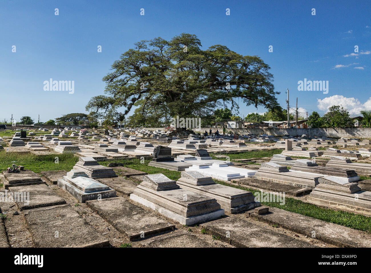 Nel cimitero della città di savana La Mar, Giamaica Foto Stock