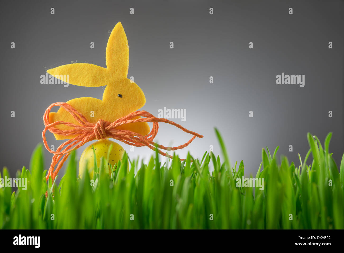 Sfondo di pasqua con bunny e uova Foto Stock