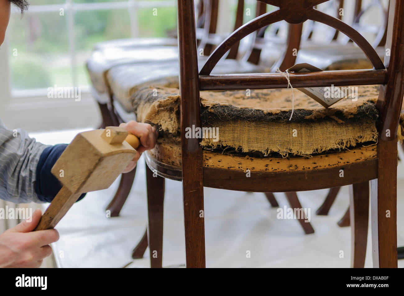 Un restauratore professionista rimuove il coperchio e imbottitura da una sedia antica Foto Stock