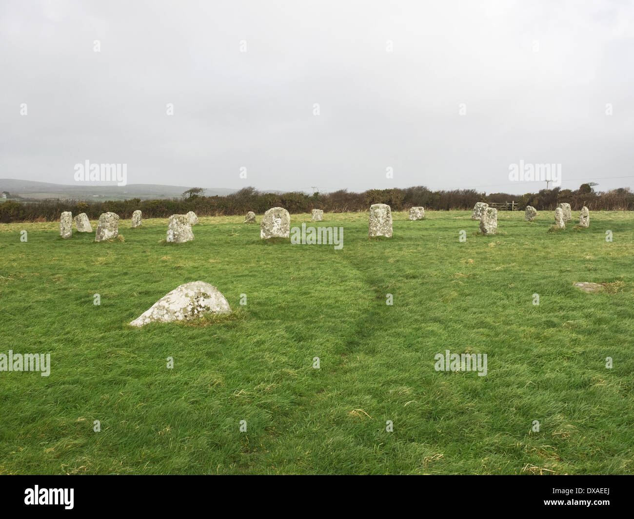 Merry Maidens cerchio di pietra in Cornovaglia - Mappa ref SW433245 Foto Stock