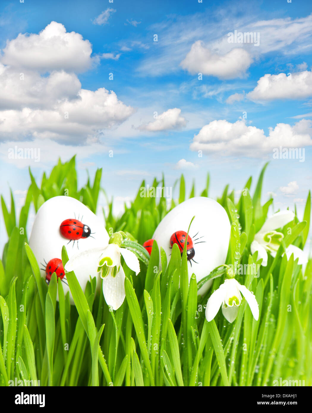 Fresco verde erba con le uova di pasqua su molla blu cielo Foto Stock
