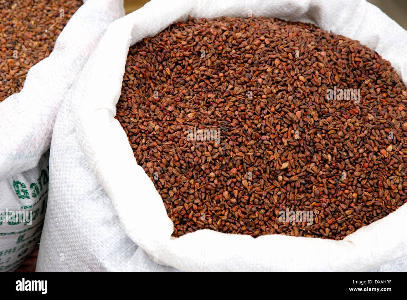 Semi d'uva Foto Stock