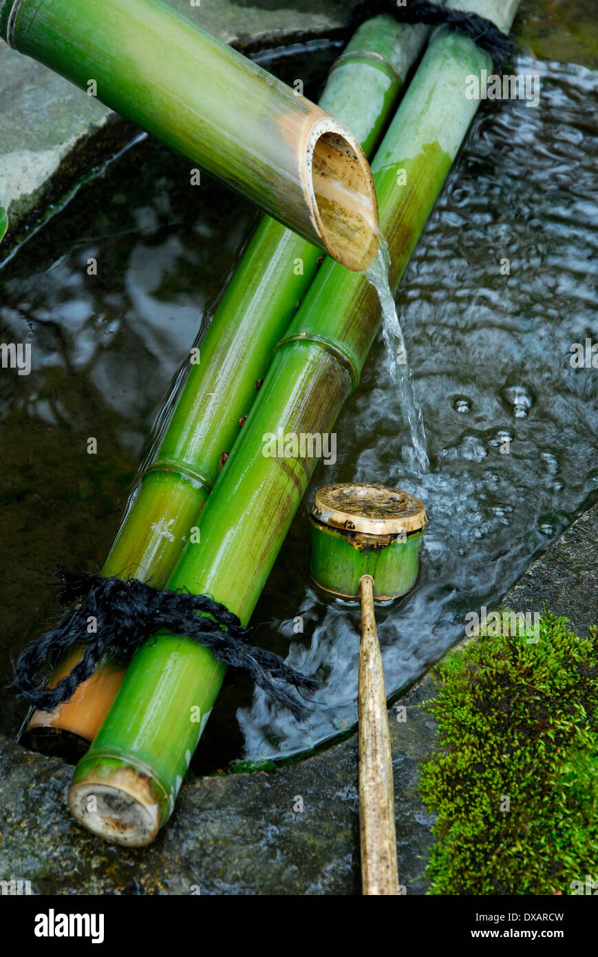 Fontana e bambù siviera, Kyoto Foto Stock
