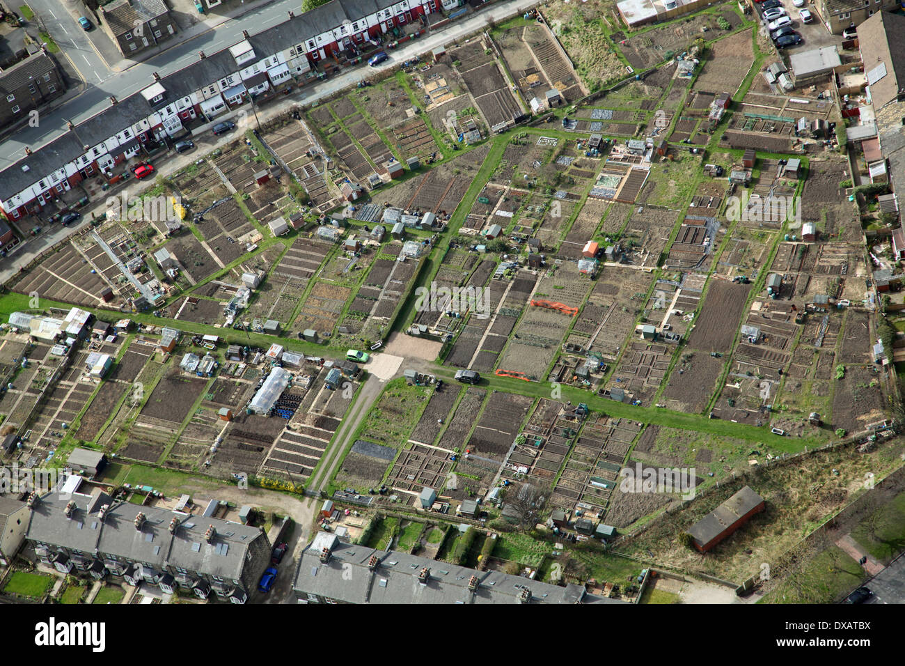 Vista aerea di alcune assegnazioni di giardinaggio Foto Stock