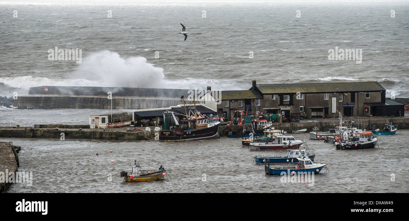 Rottura d'onda contro la parete del porto a Lyme Regis Foto Stock
